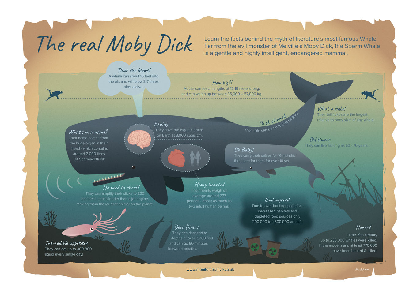 How is the whale moby dick a brute